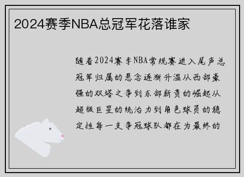 2024赛季NBA总冠军花落谁家